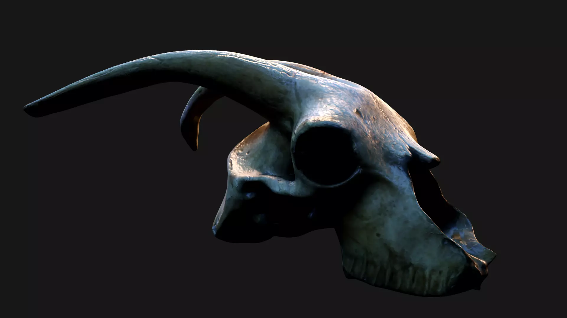 GOAT SKULL Low-poly 3D model