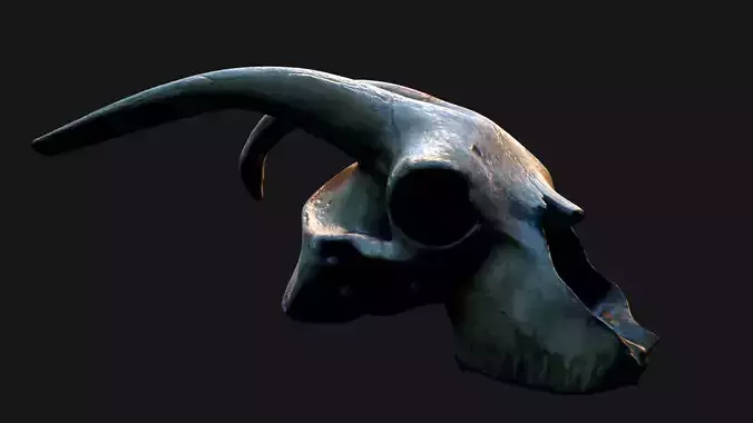 GOAT SKULL