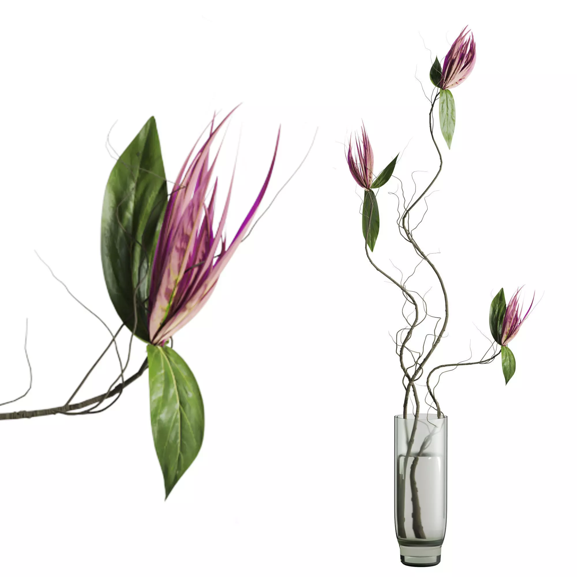 bouquet set 3D Model Collection_5