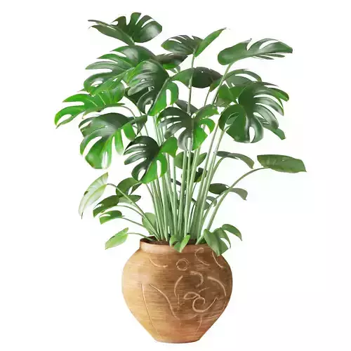 Monstera in Vintage Handmade Carved Pot Low-poly 3D model