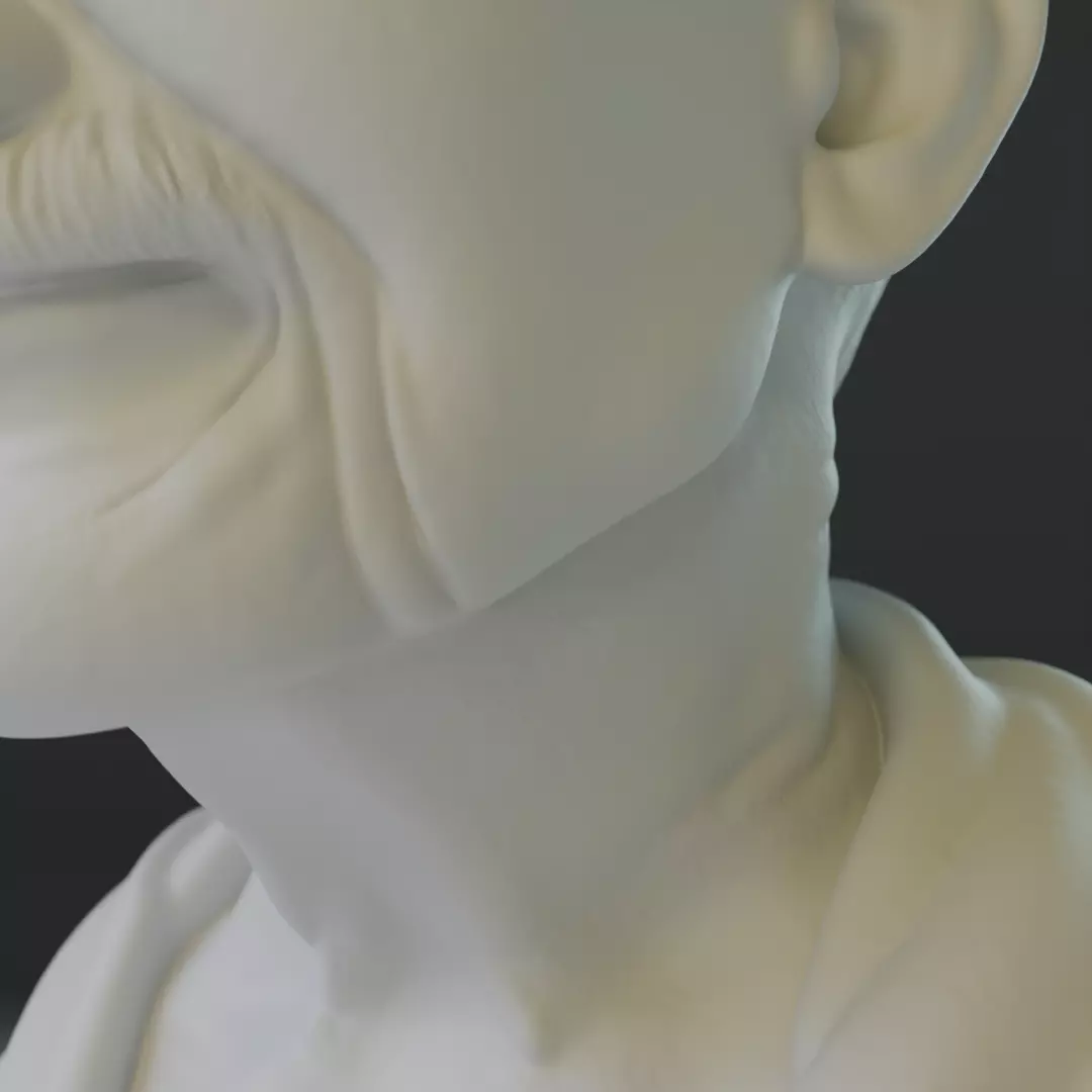 Mahatma Gandhi bust 3D print model_19