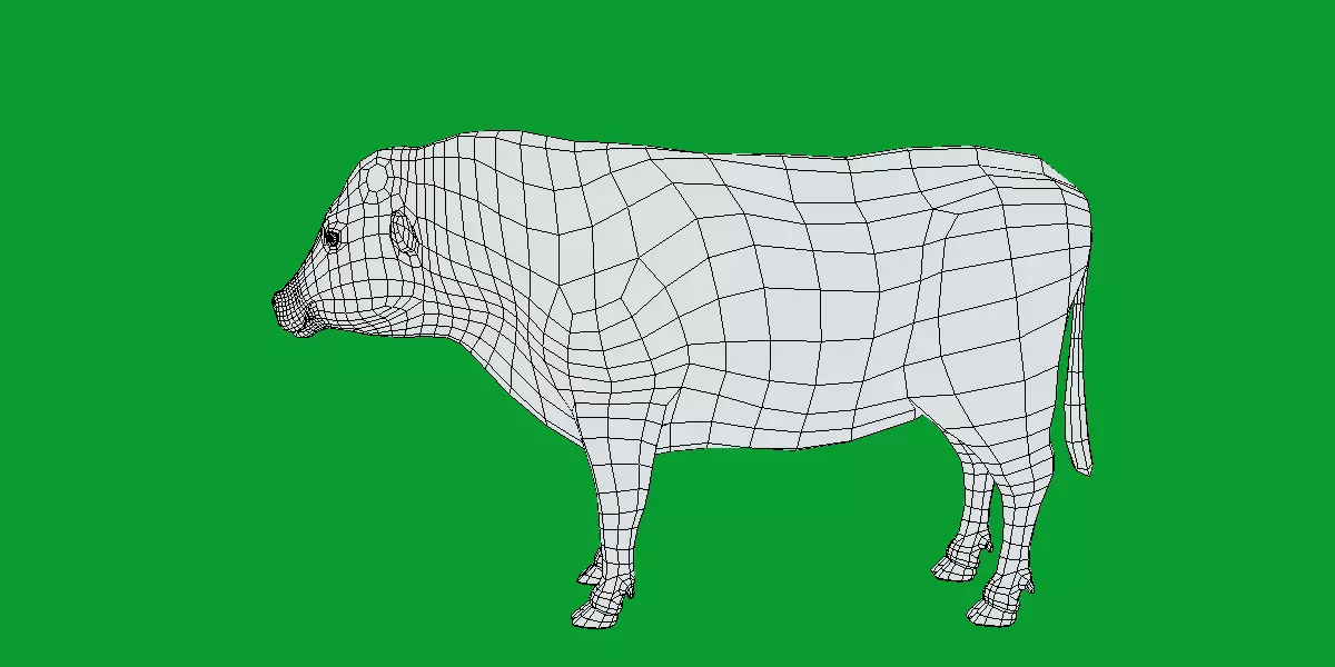 Galloway Cattle Low-poly 3D model_20