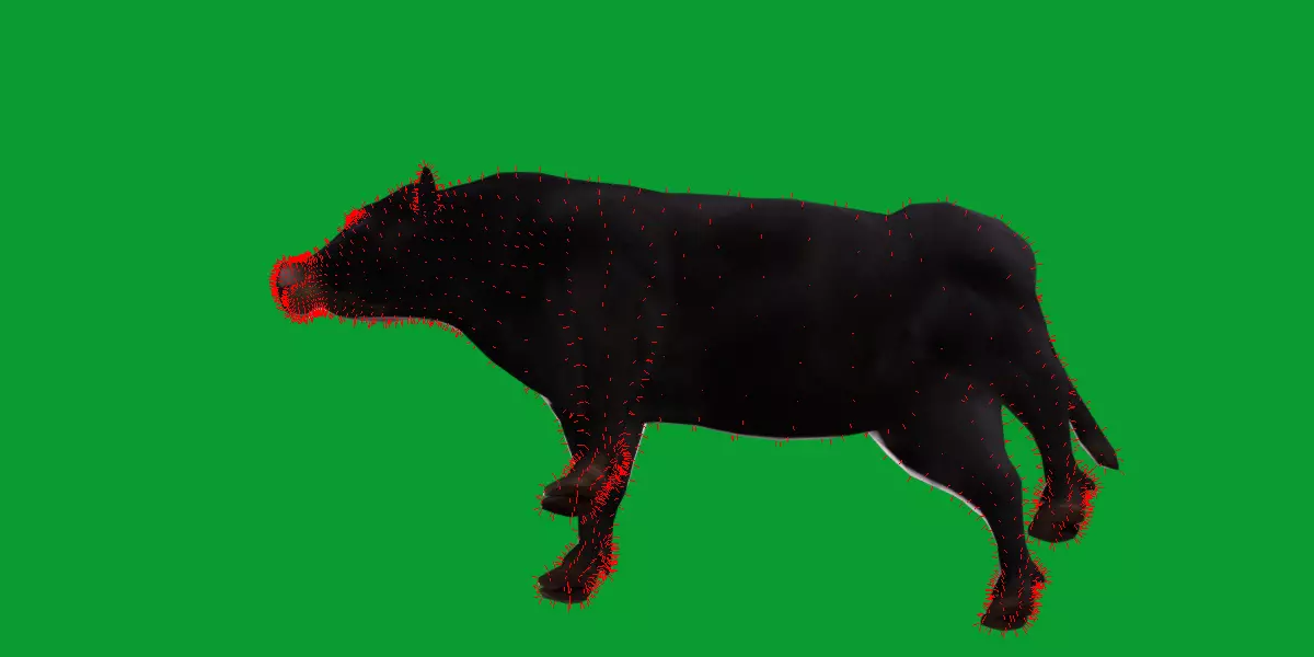 Galloway Cattle Low-poly 3D model_37