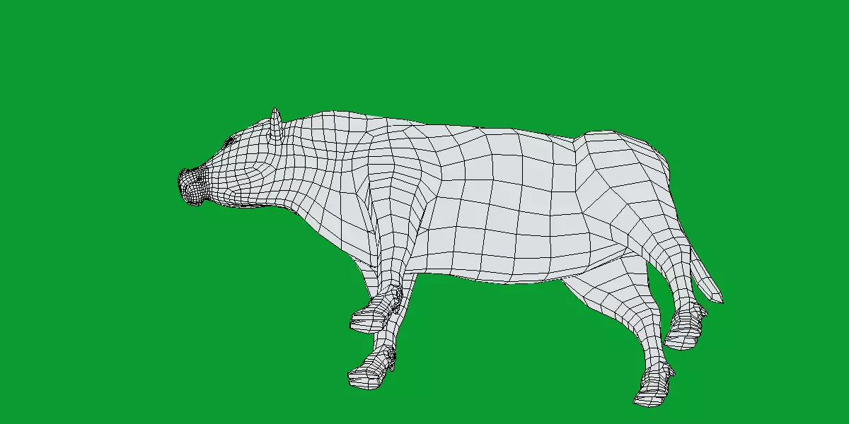 Galloway Cattle Low-poly 3D model_24