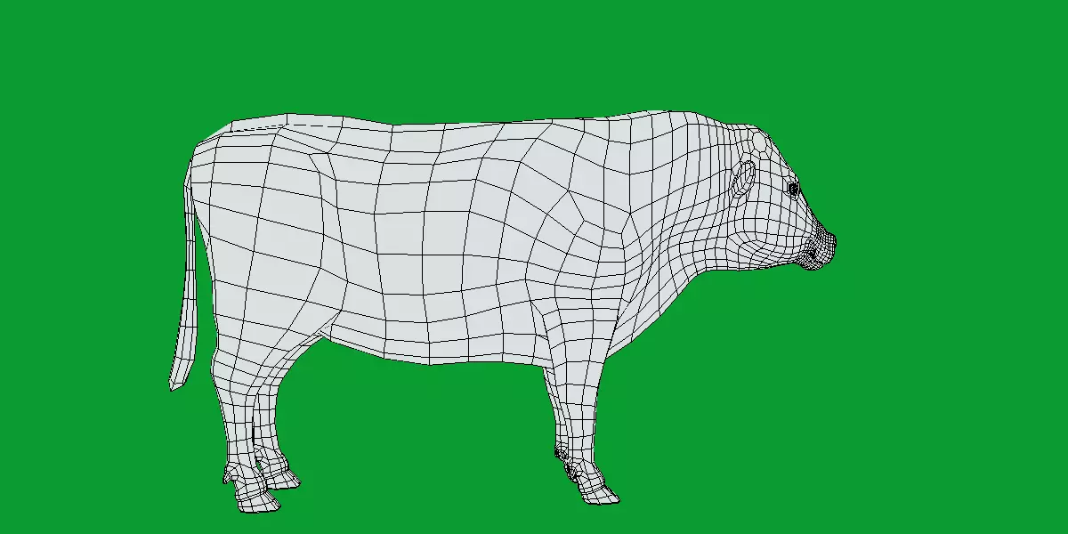 Galloway Cattle Low-poly 3D model_15