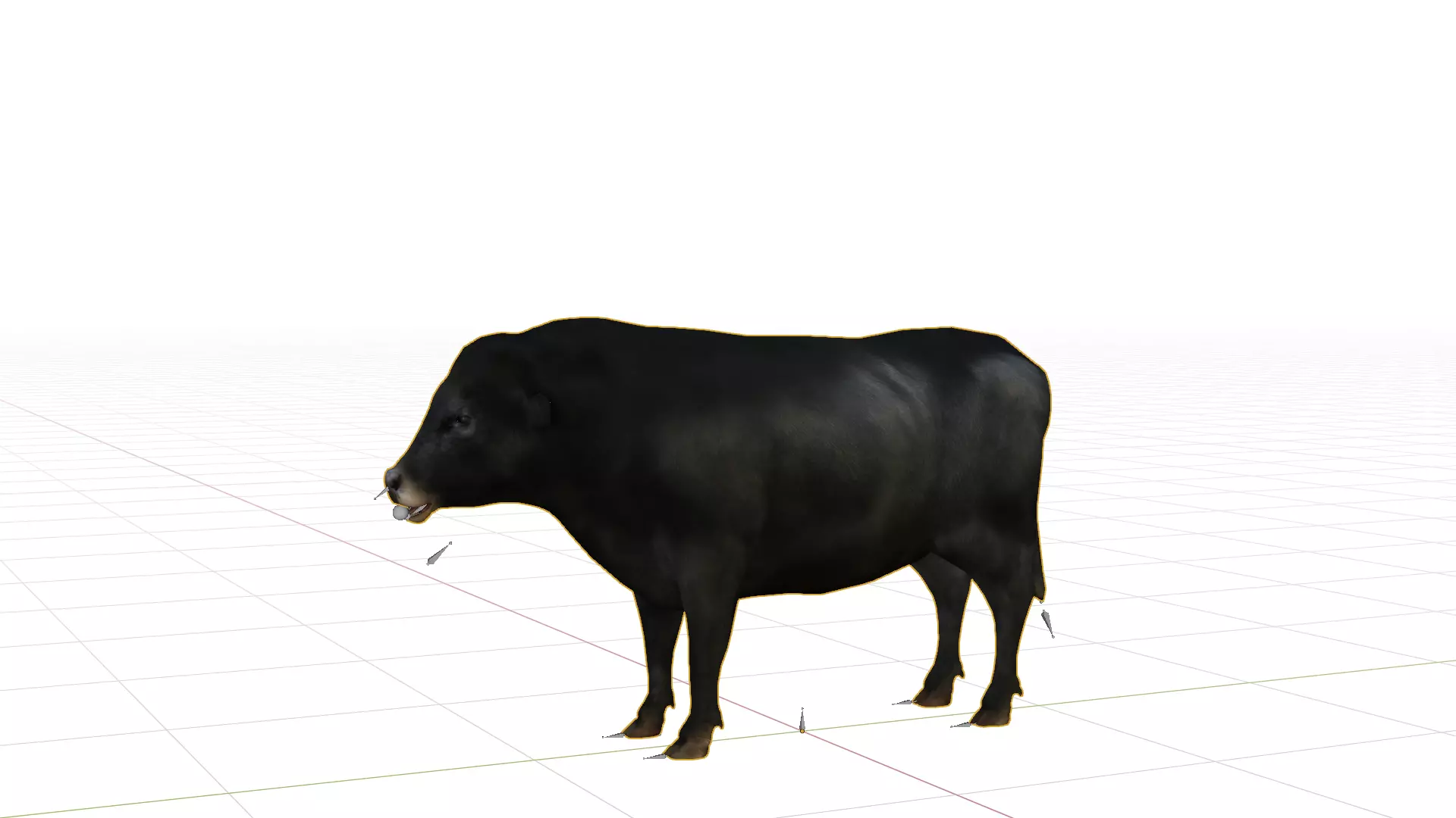 Galloway Cattle Low-poly 3D model_4