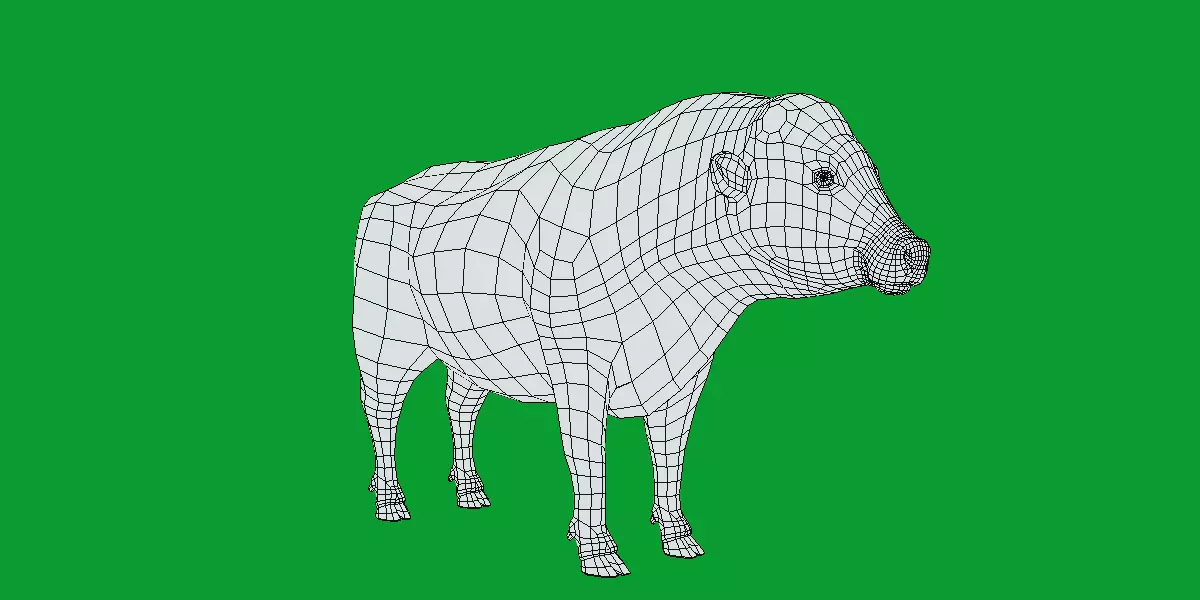 Galloway Cattle Low-poly 3D model_33