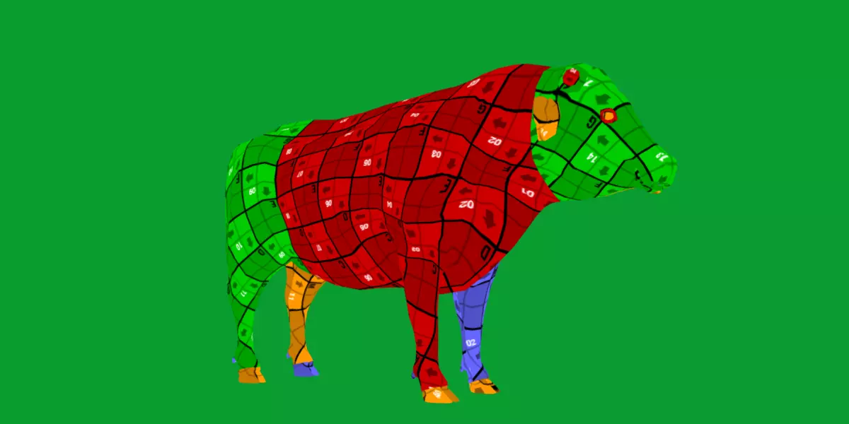 Galloway Cattle Low-poly 3D model_29