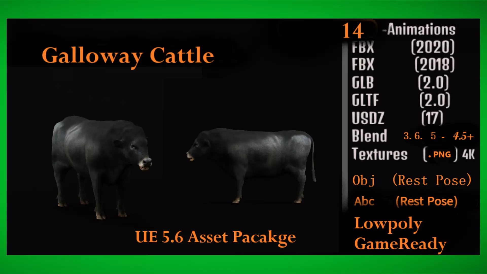 Galloway Cattle Low-poly 3D model_3