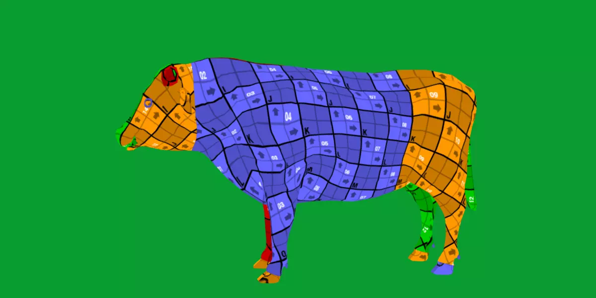 Galloway Cattle Low-poly 3D model_30