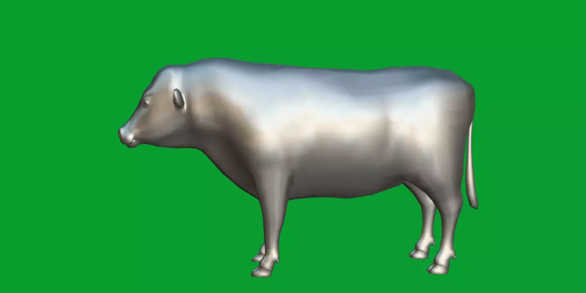 Galloway Cattle Low-poly 3D model_21