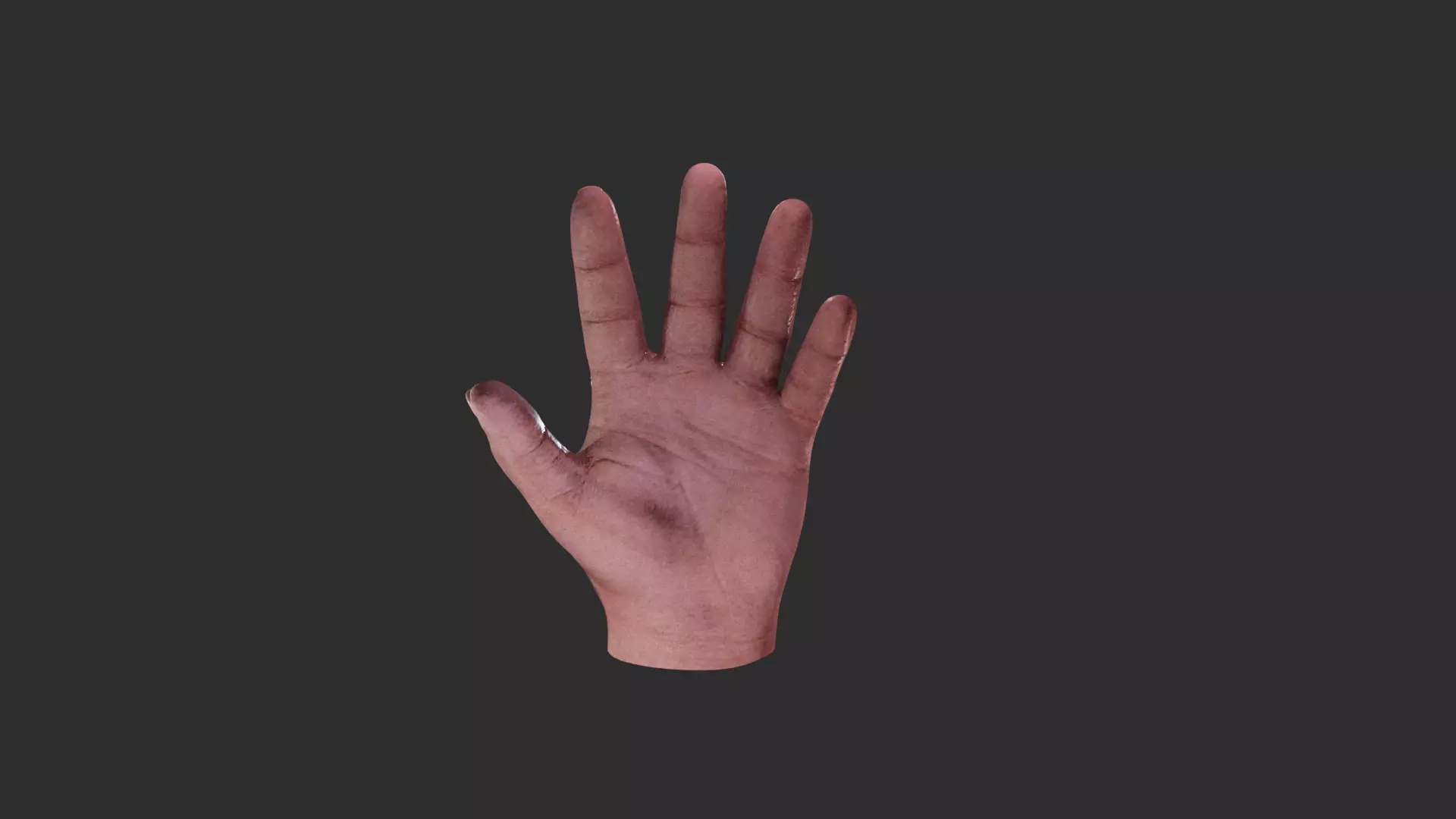 Advanced Hand Rigged for Blender Low-poly 3D model_2