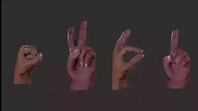 Advanced Hand Rigged for Blender Low-poly 3D model