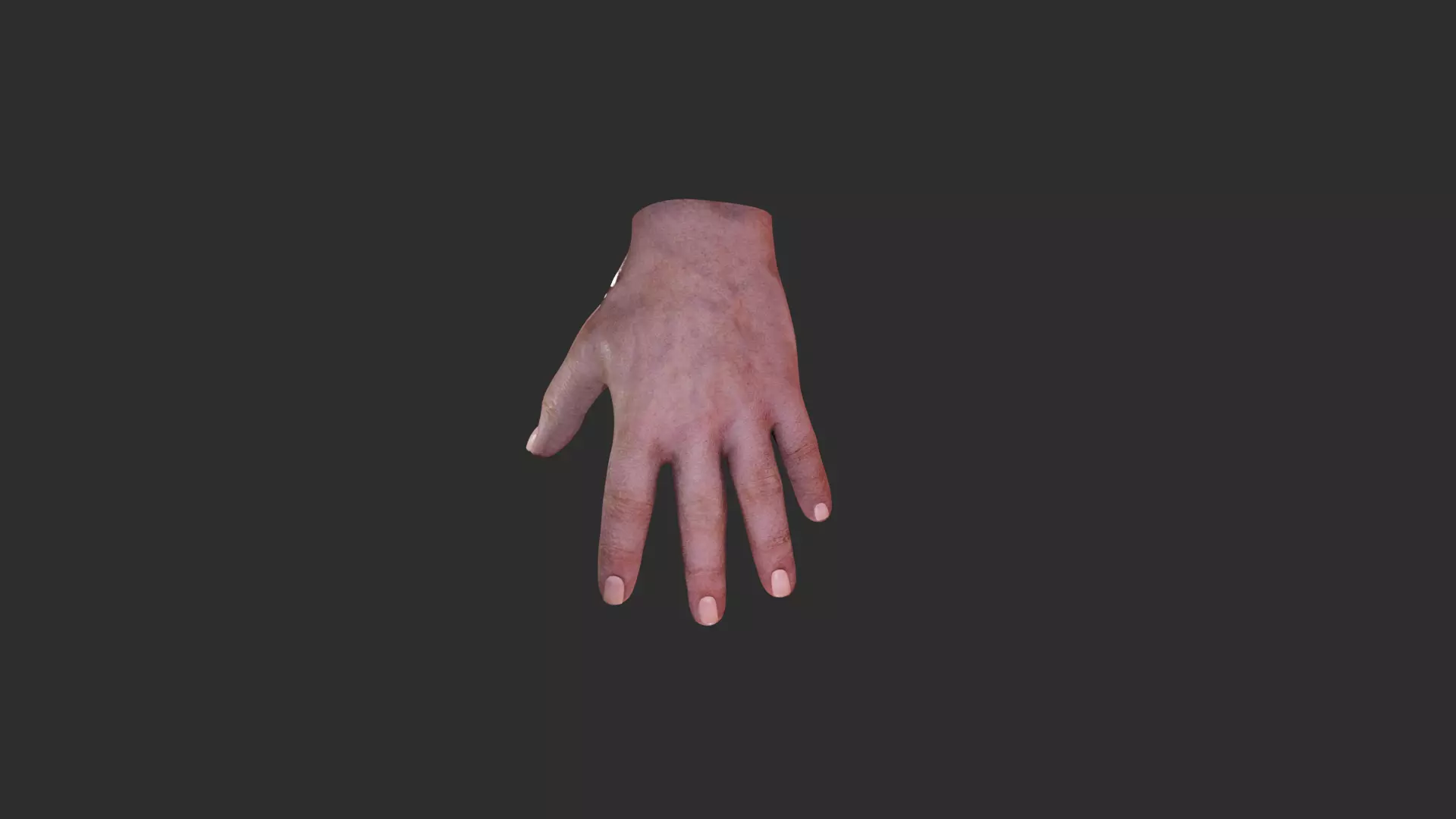 Advanced Hand Rigged for Blender Low-poly 3D model_3