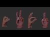 Advanced Hand Rigged for Blender Low-poly 3D model_1