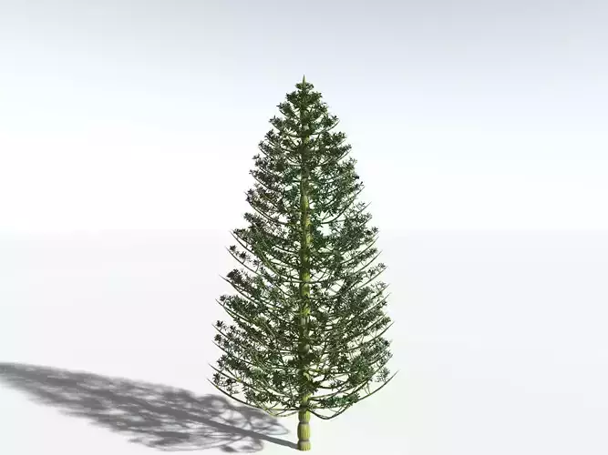 EVERYPlant Calamites Cruciatus -16 Models- 3D model