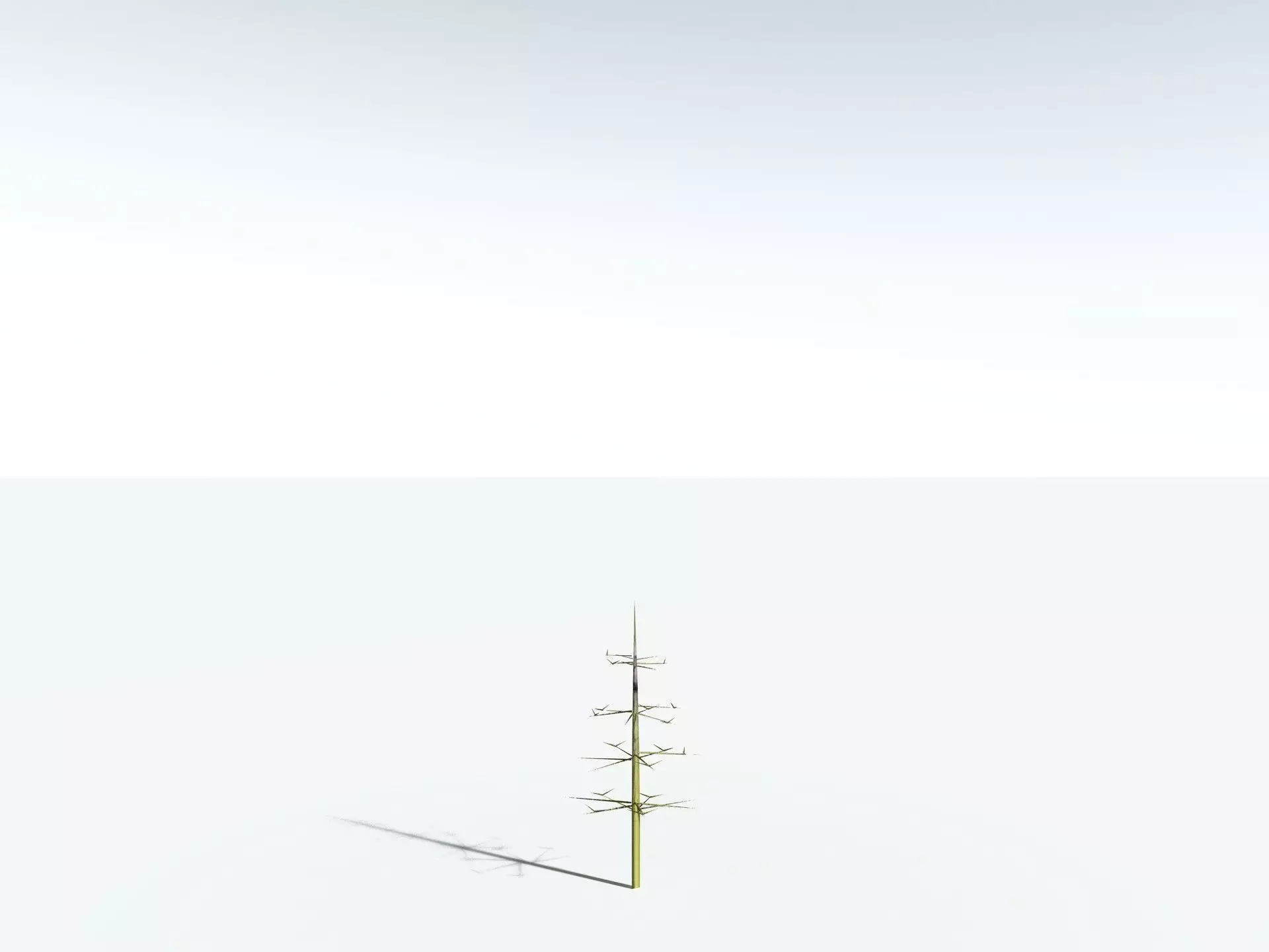 EVERYPlant Calamites Cruciatus LowPoly Low-poly 3D model_29