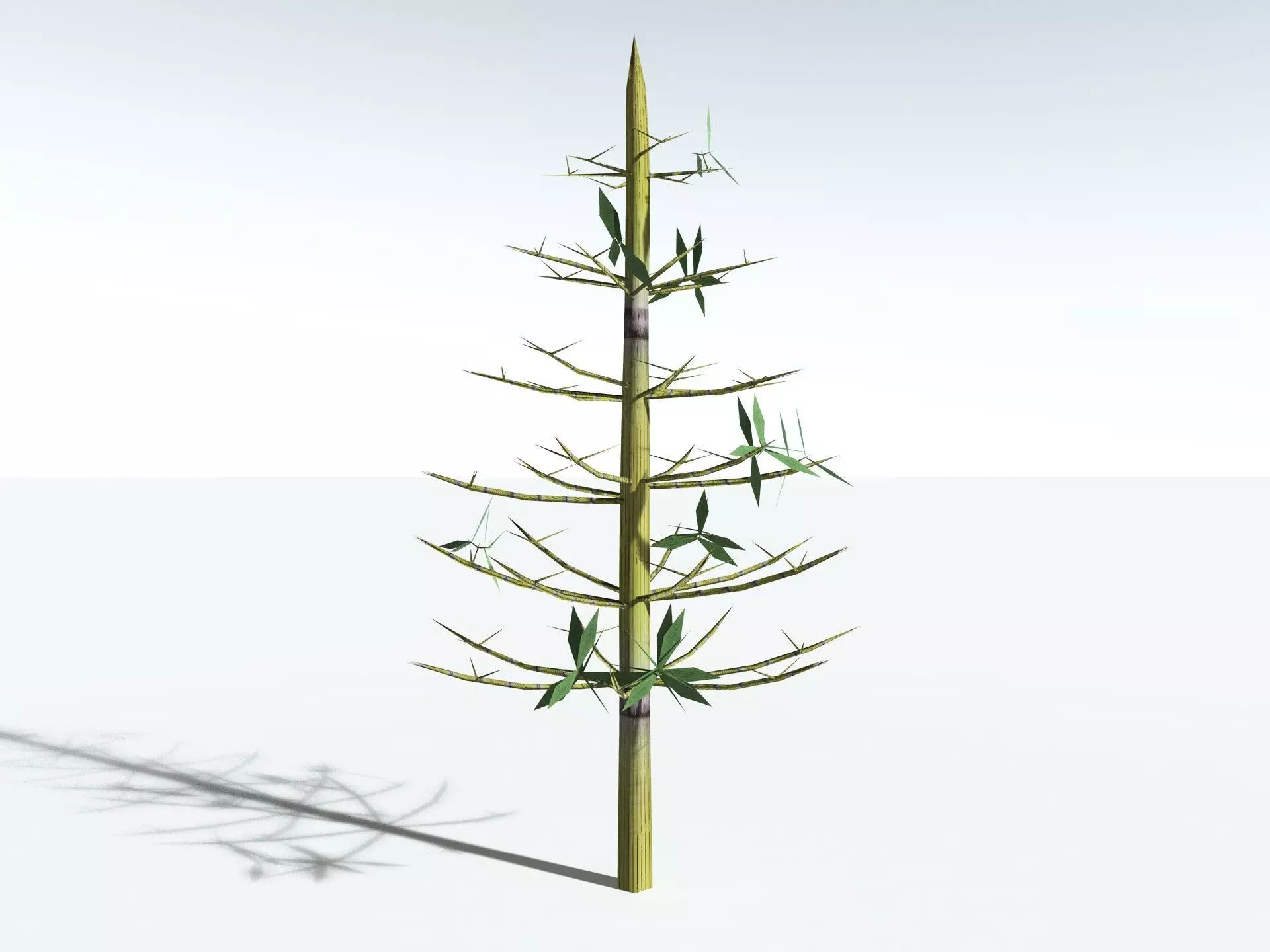EVERYPlant Calamites Cruciatus LowPoly Low-poly 3D model_27