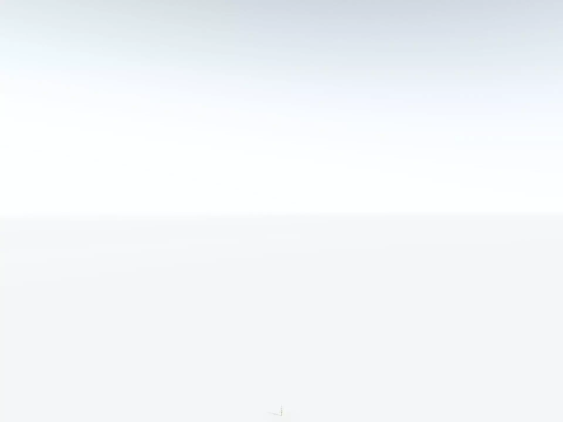 EVERYPlant Calamites Cruciatus LowPoly Low-poly 3D model_28