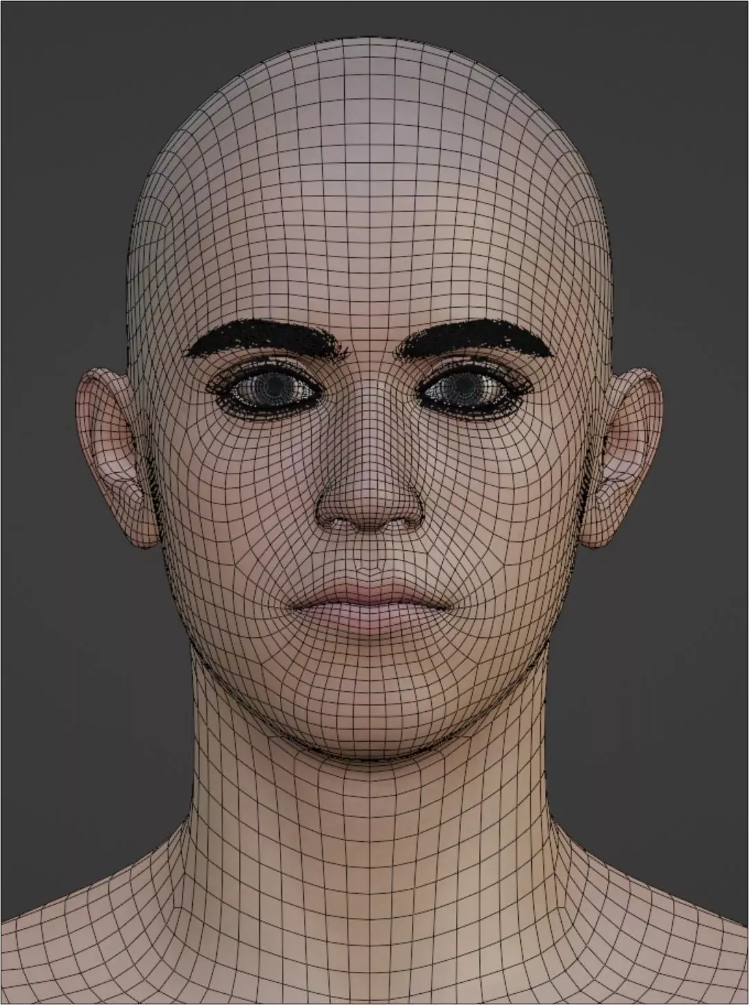 Realistic Male Base Mesh A-Pose Caucasian Character Low-poly 3D model_4