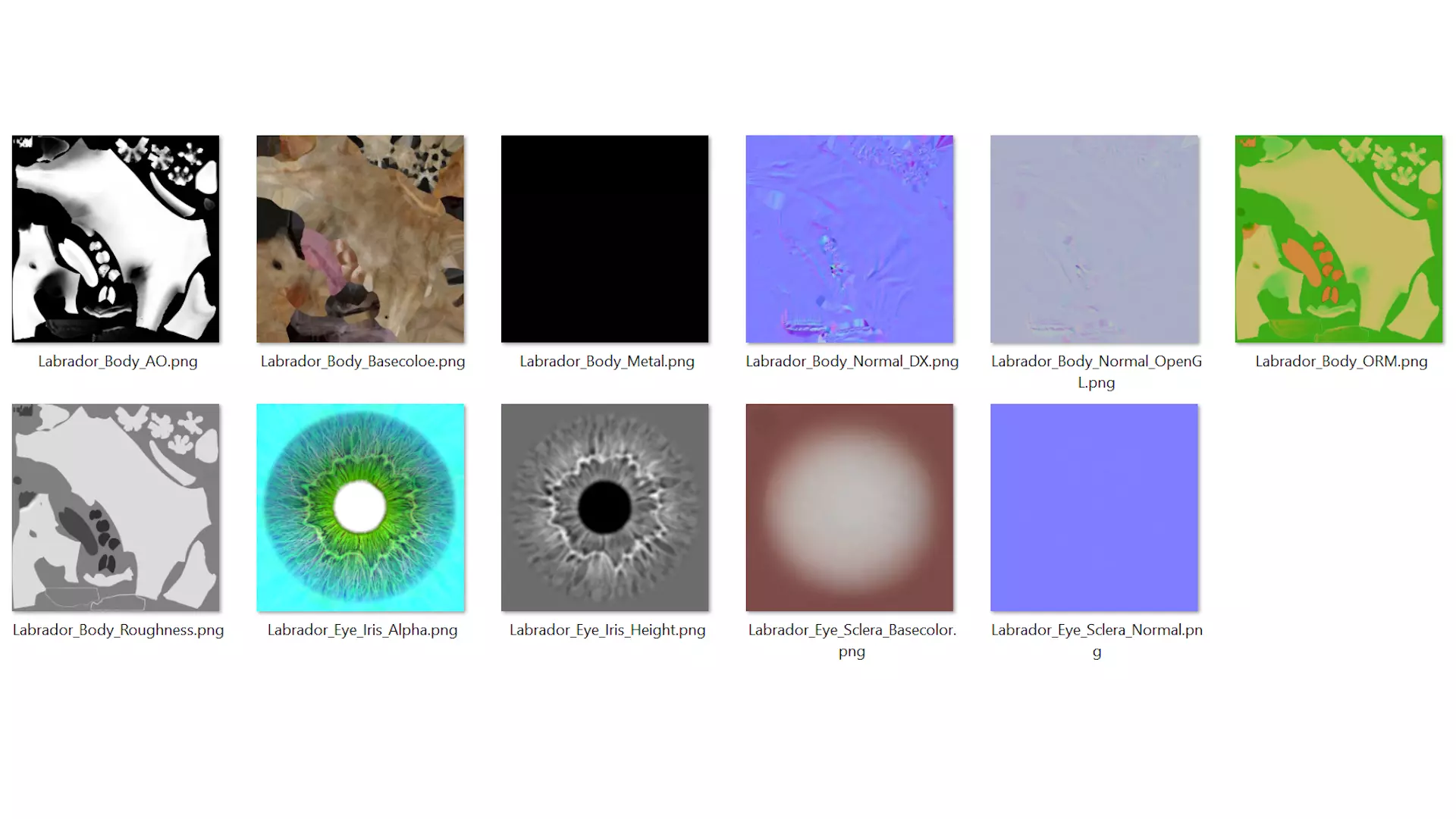 Labrador Retriever Low-poly 3D model_6