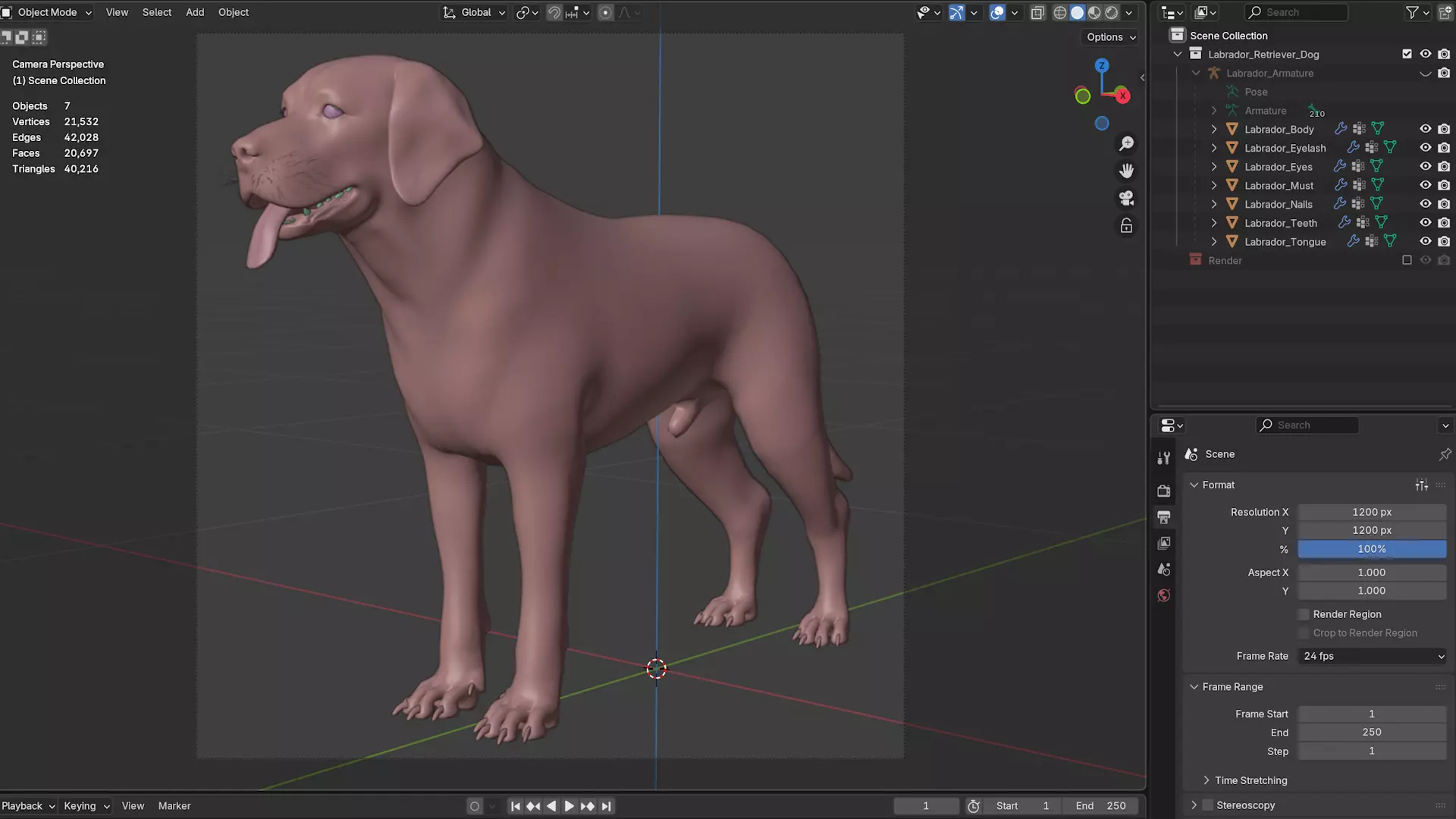 Labrador Retriever Low-poly 3D model_12