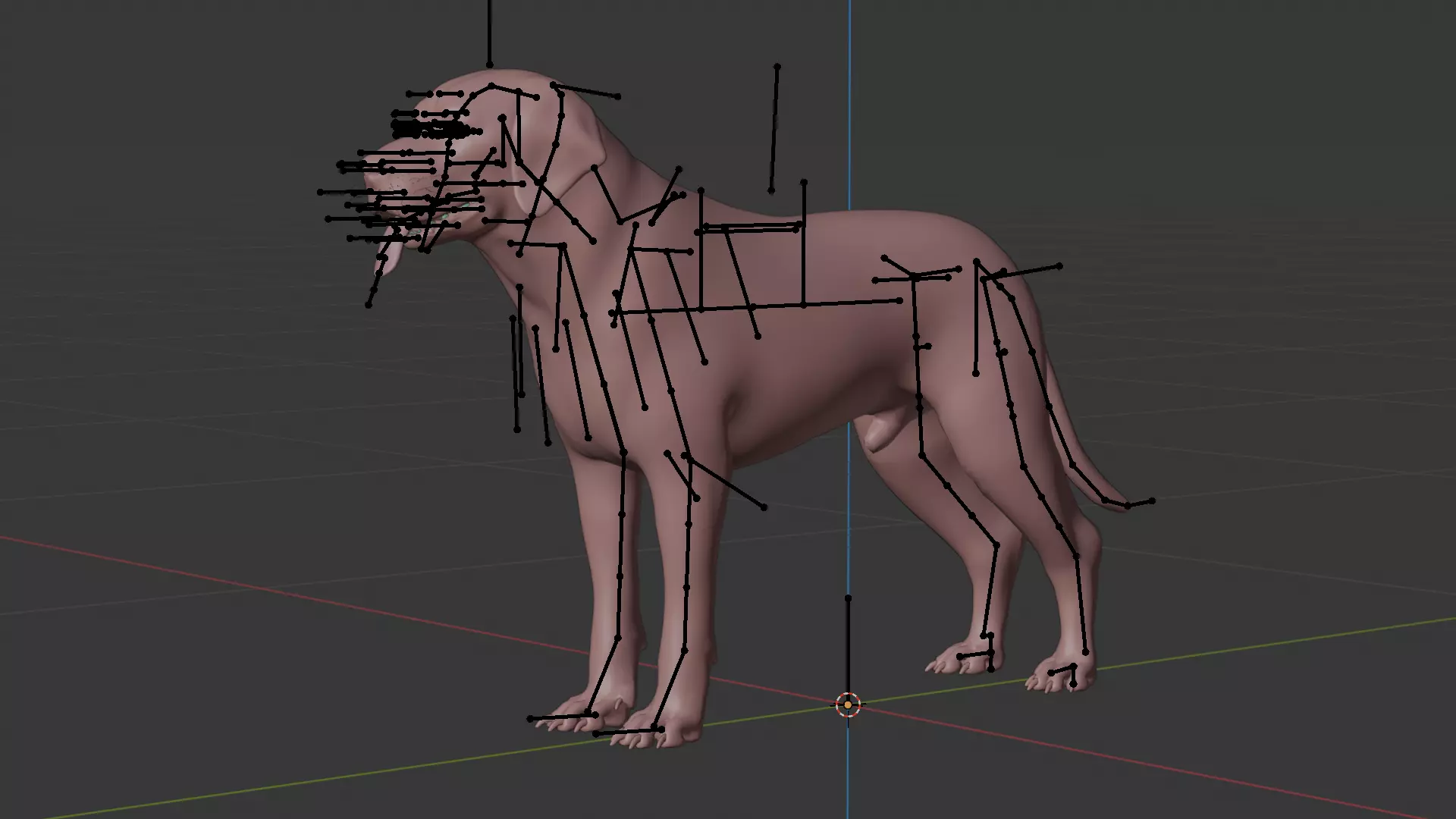Labrador Retriever Low-poly 3D model_8
