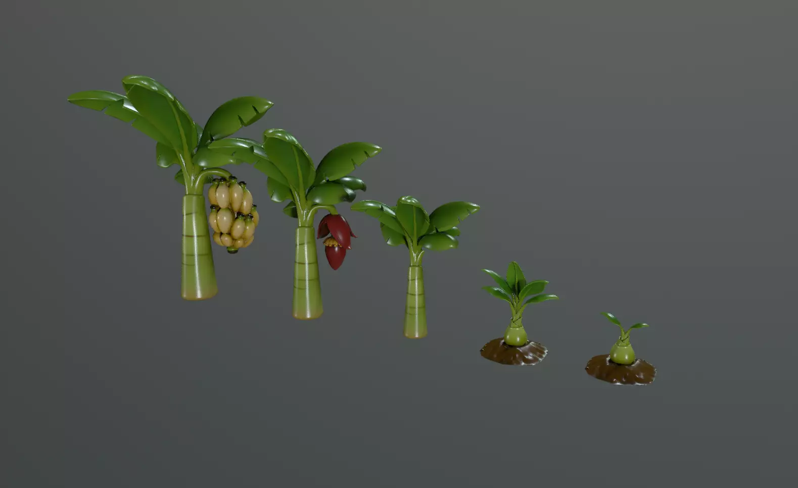 Stylized Banana Tree Growth Stages  Low Poly 3D Model for Games  Low-poly 3D model_5