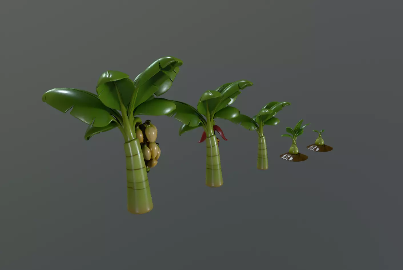 Stylized Banana Tree Growth Stages  Low Poly 3D Model for Games  Low-poly 3D model_3