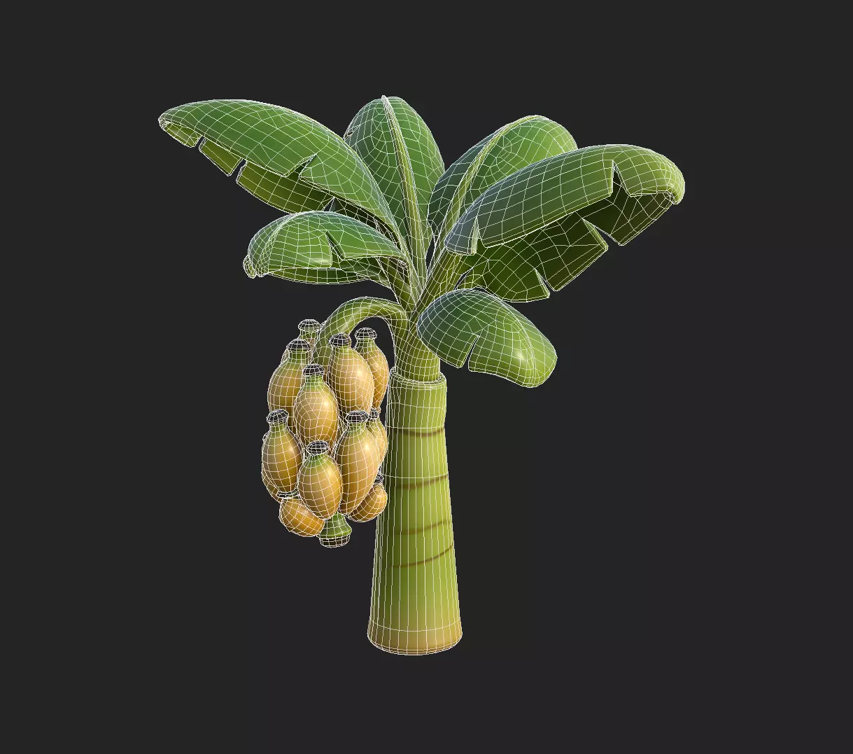 Stylized Banana Tree Growth Stages  Low Poly 3D Model for Games  Low-poly 3D model_10