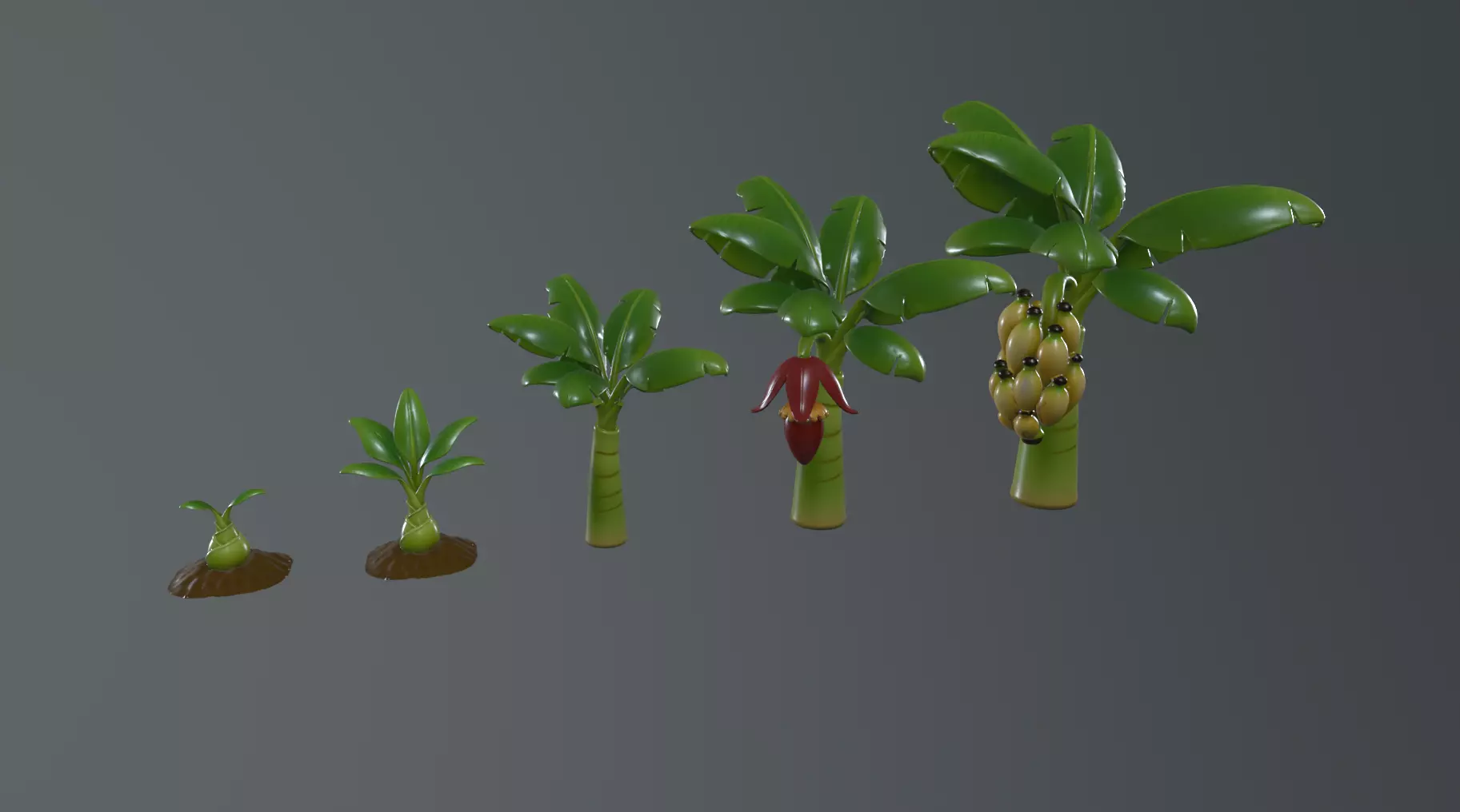 Stylized Banana Tree Growth Stages  Low Poly 3D Model for Games  Low-poly 3D model_1
