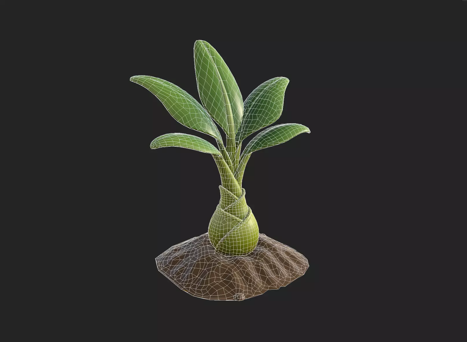 Stylized Banana Tree Growth Stages  Low Poly 3D Model for Games  Low-poly 3D model_22