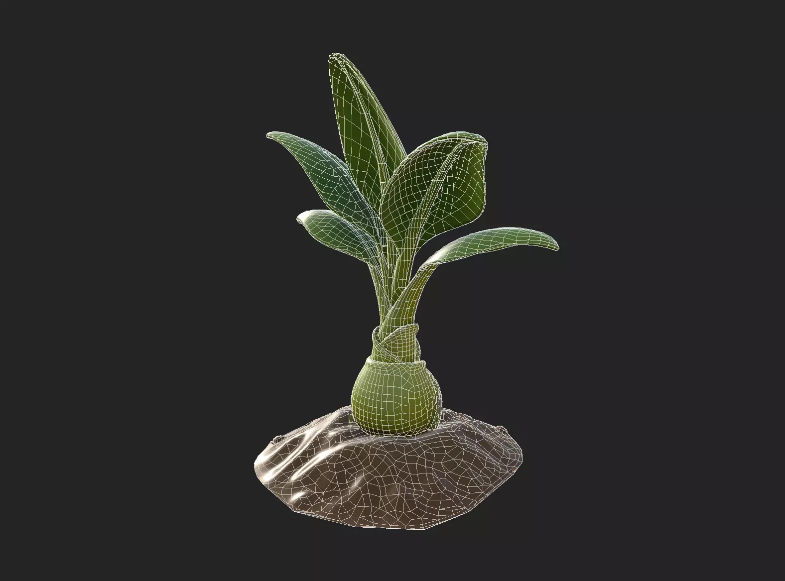 Stylized Banana Tree Growth Stages  Low Poly 3D Model for Games  Low-poly 3D model_21