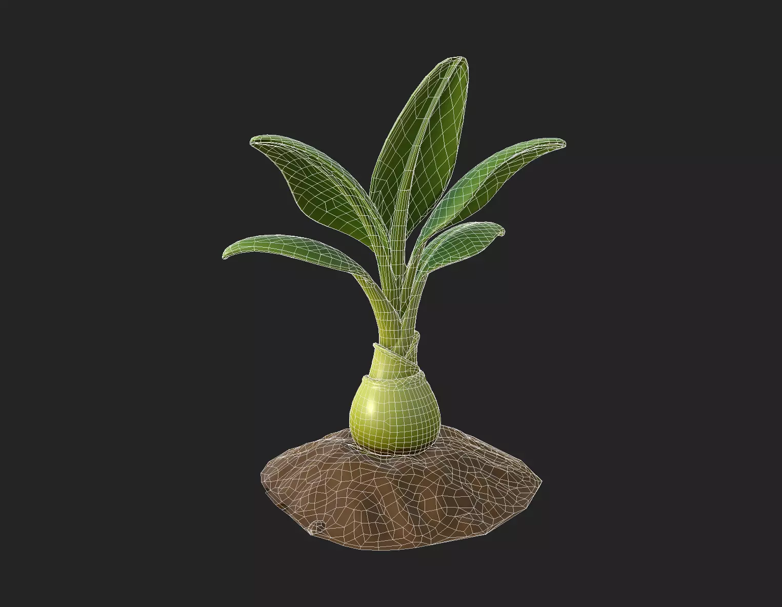 Stylized Banana Tree Growth Stages  Low Poly 3D Model for Games  Low-poly 3D model_17