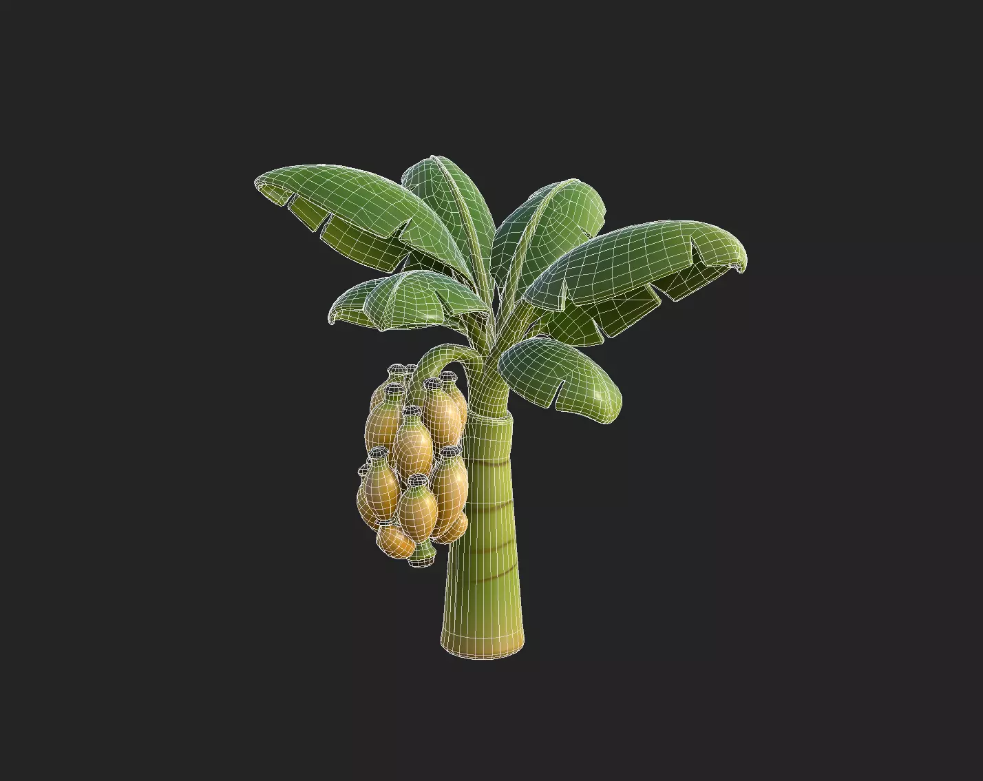 Stylized Banana Tree Growth Stages  Low Poly 3D Model for Games  Low-poly 3D model_7