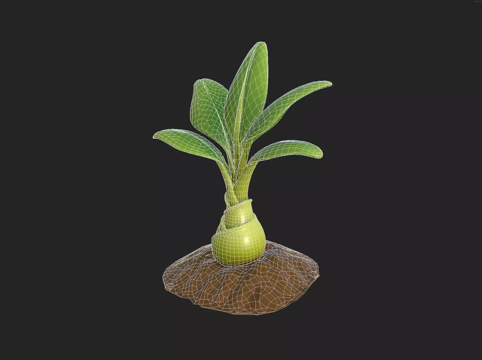 Stylized Banana Tree Growth Stages  Low Poly 3D Model for Games  Low-poly 3D model_20