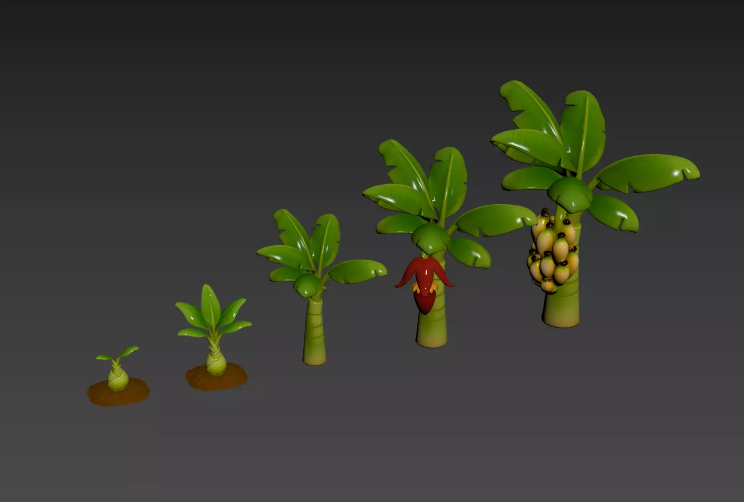Stylized Banana Tree Growth Stages  Low Poly 3D Model for Games  Low-poly 3D model_4