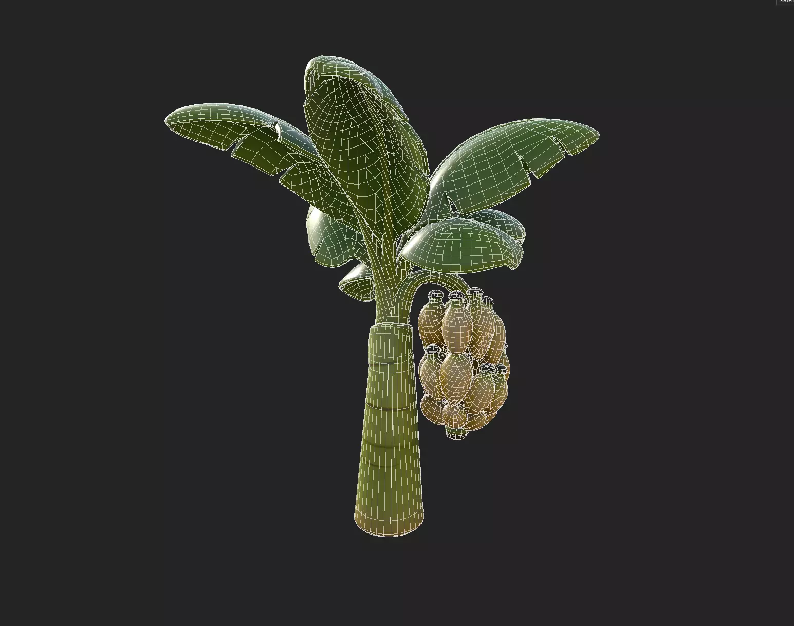 Stylized Banana Tree Growth Stages  Low Poly 3D Model for Games  Low-poly 3D model_11