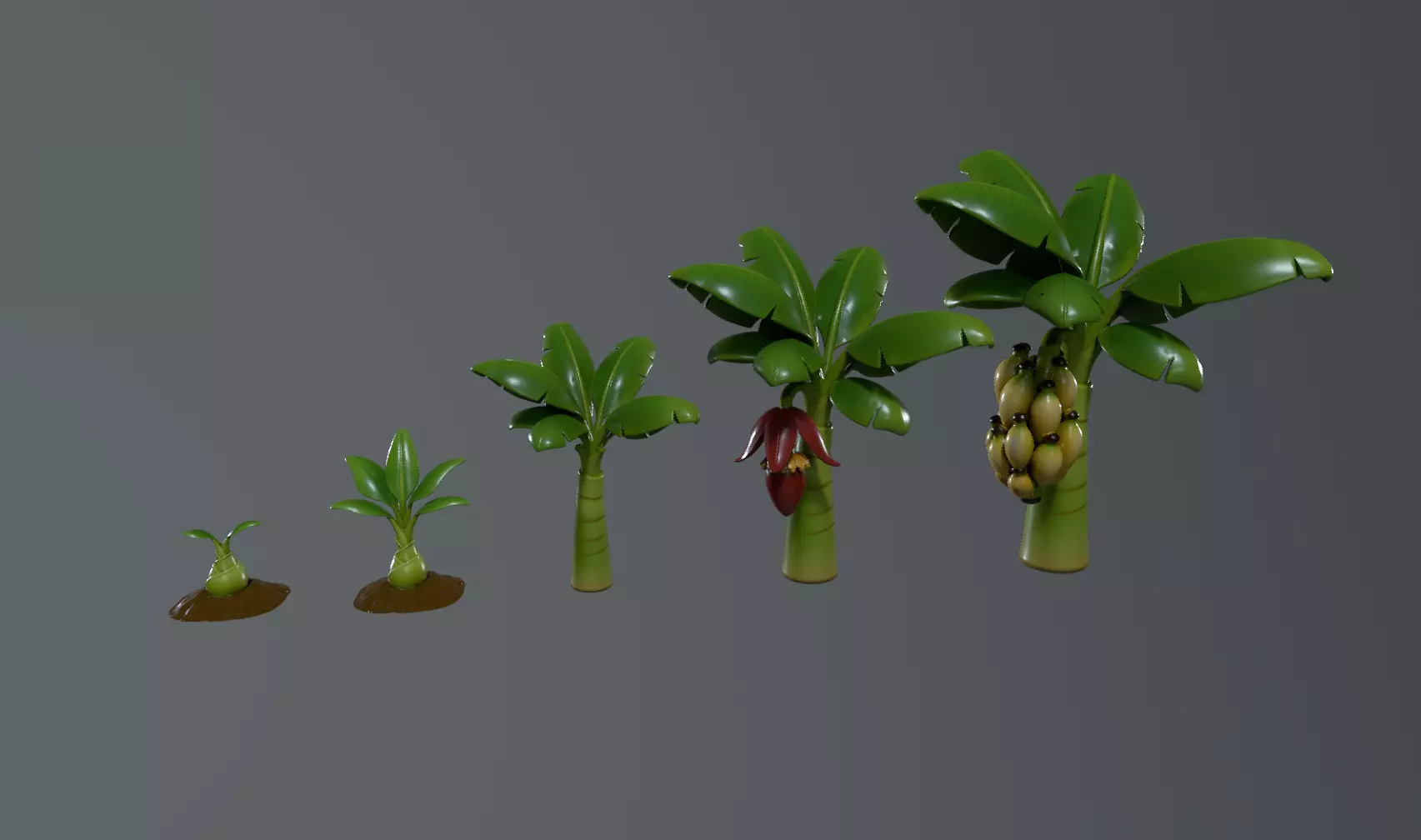 Stylized Banana Tree Growth Stages  Low Poly 3D Model for Games  Low-poly 3D model_0
