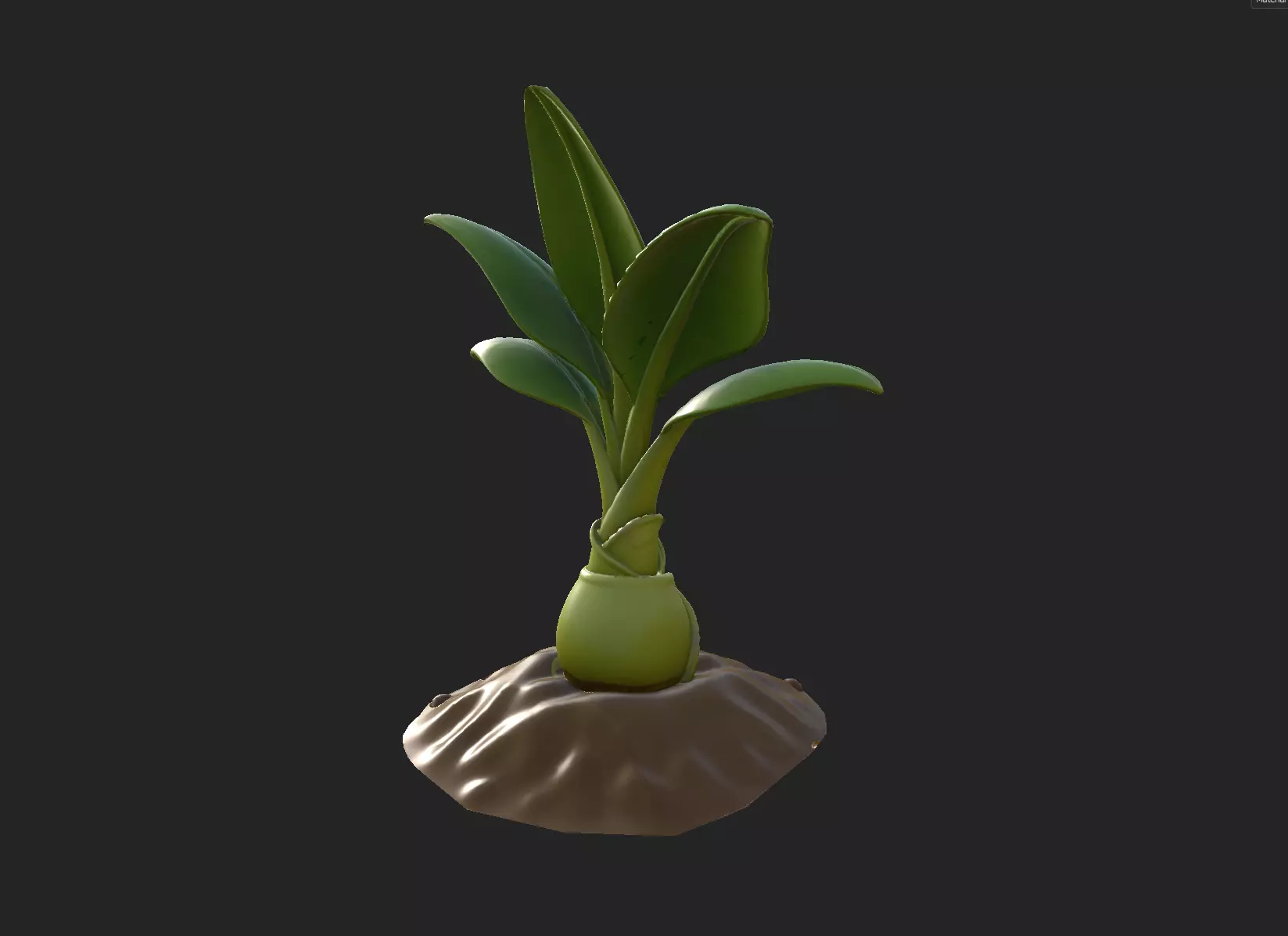 Stylized Banana Tree Growth Stages  Low Poly 3D Model for Games  Low-poly 3D model_19