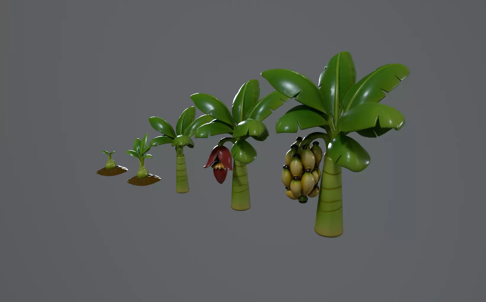 Stylized Banana Tree Growth Stages  Low Poly 3D Model for Games  Low-poly 3D model_2