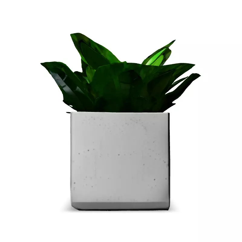 Modern Concrete Planter with Tropical Plant Low-poly 3D model_6