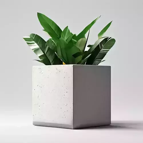 Modern Concrete Planter with Tropical Plant Low-poly 3D model