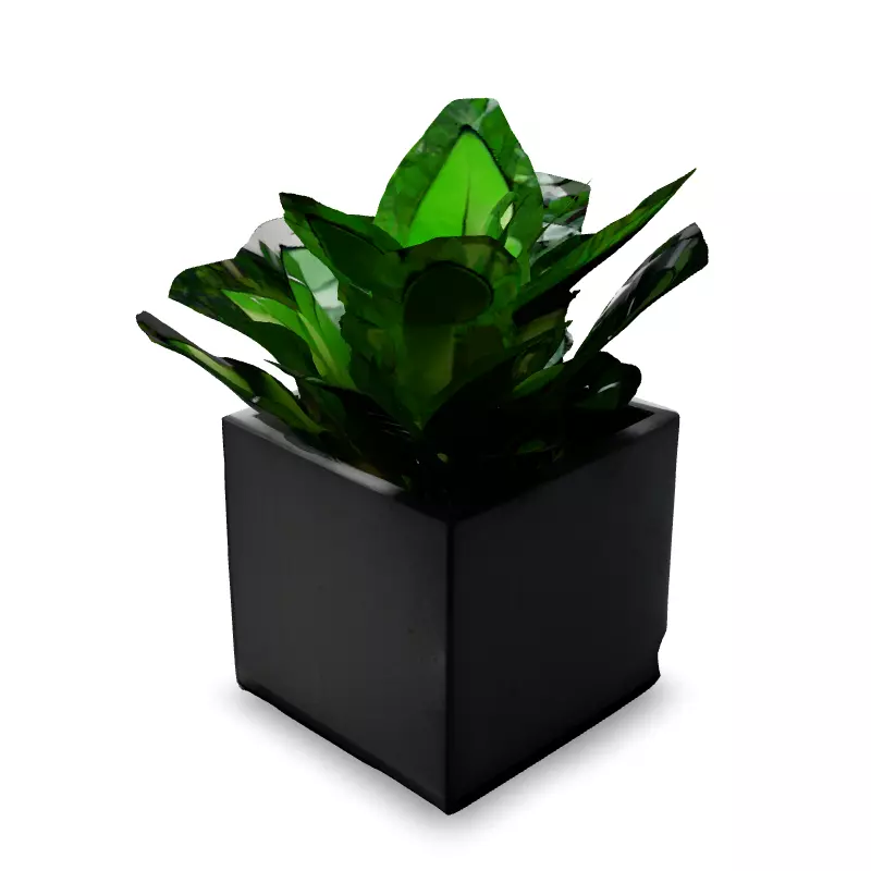 Modern Concrete Planter with Tropical Plant Low-poly 3D model_2