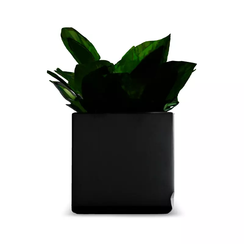 Modern Concrete Planter with Tropical Plant Low-poly 3D model_3