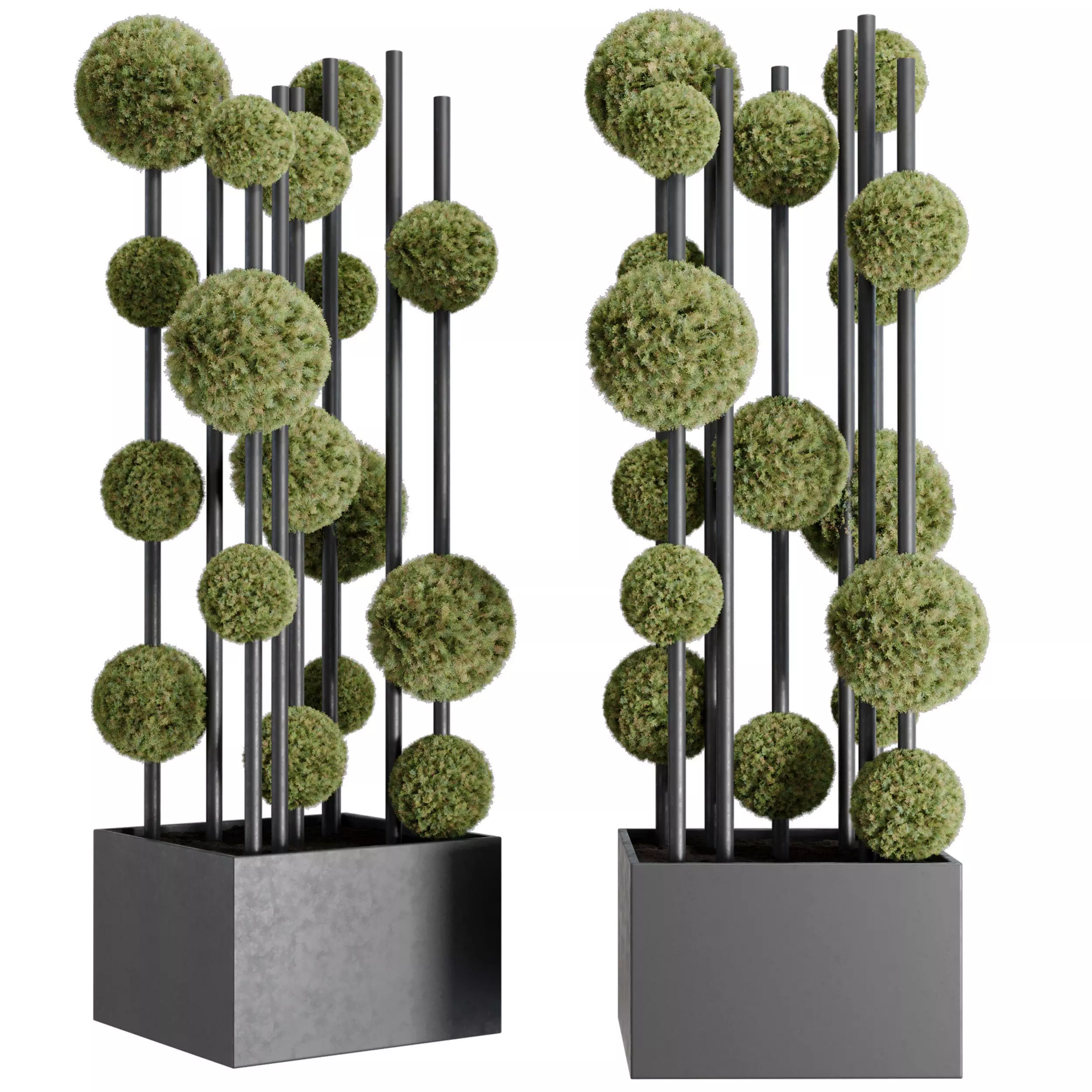 Topiary ball Pine - Outdoor Plants set 239 3D model