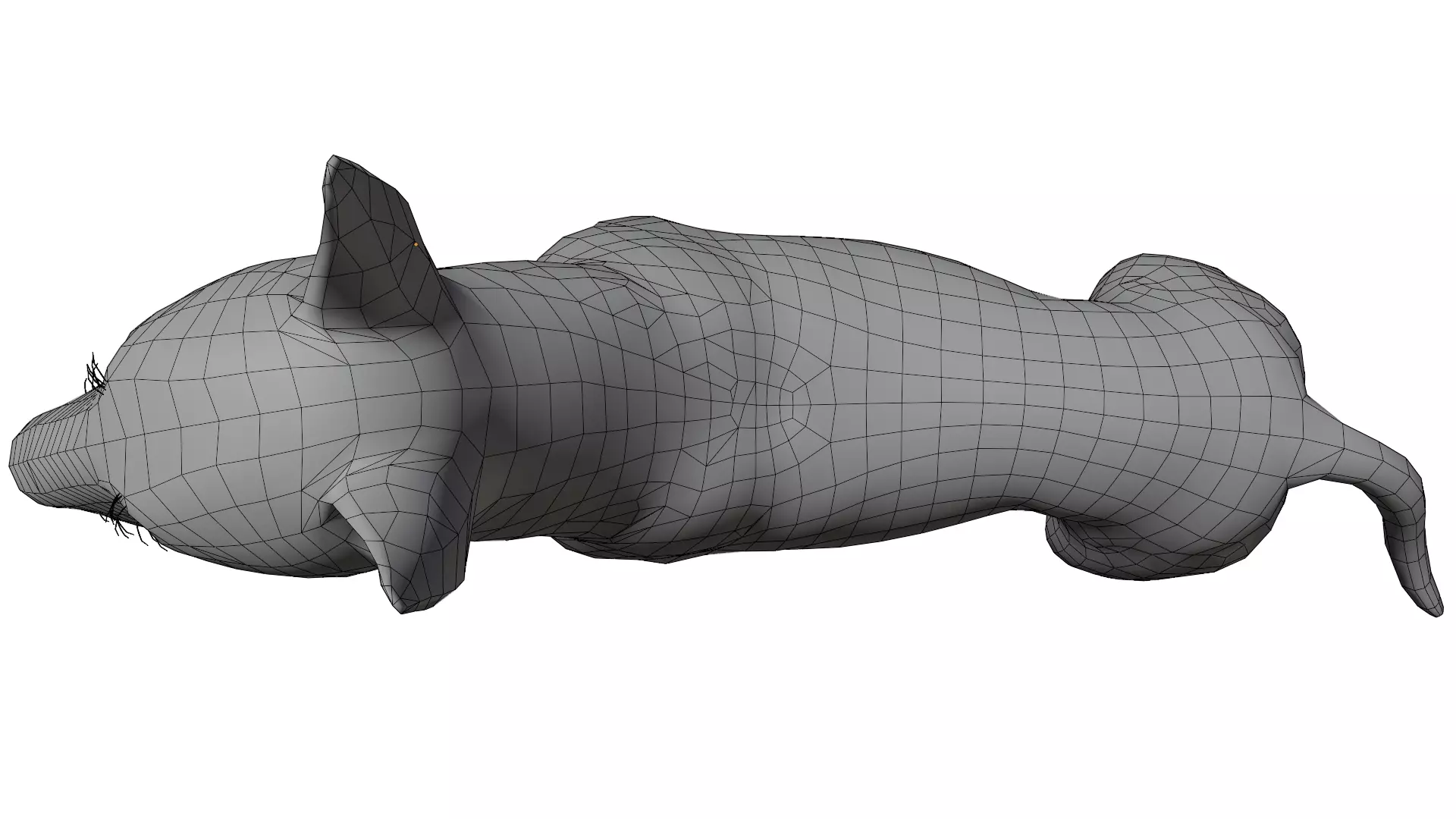 Bull Terrier 3D model_17