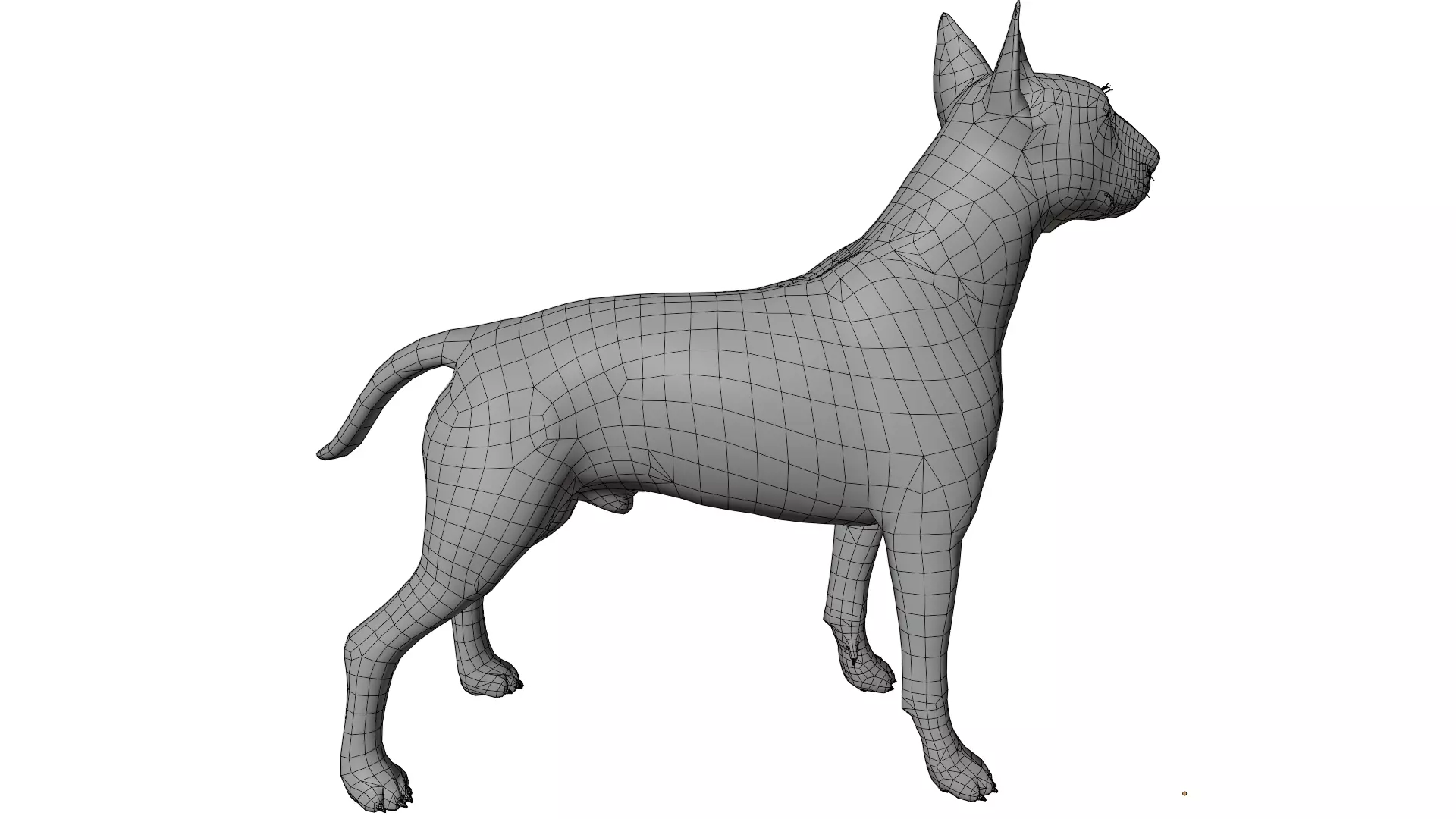 Bull Terrier 3D model_14