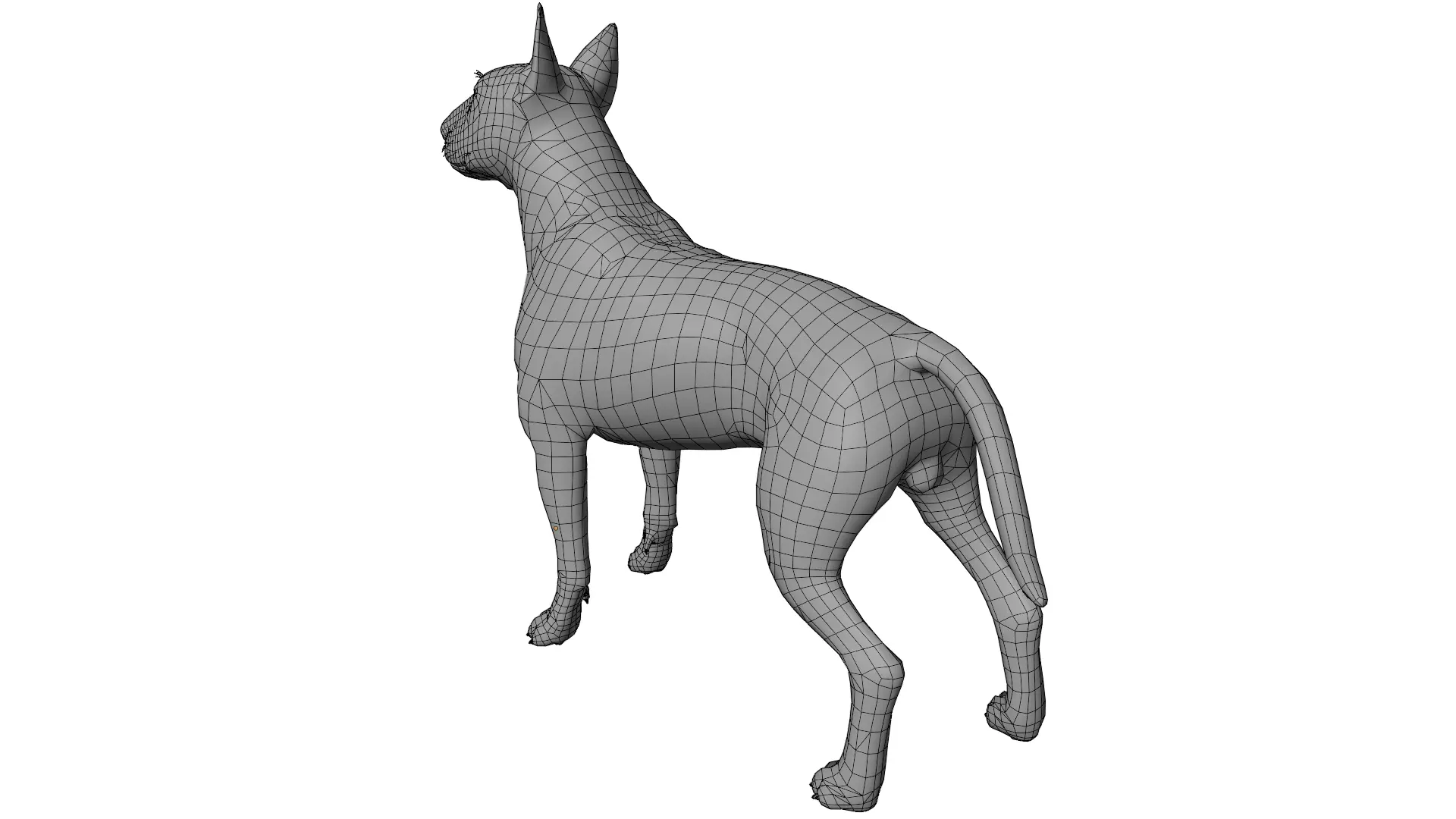 Bull Terrier 3D model_11