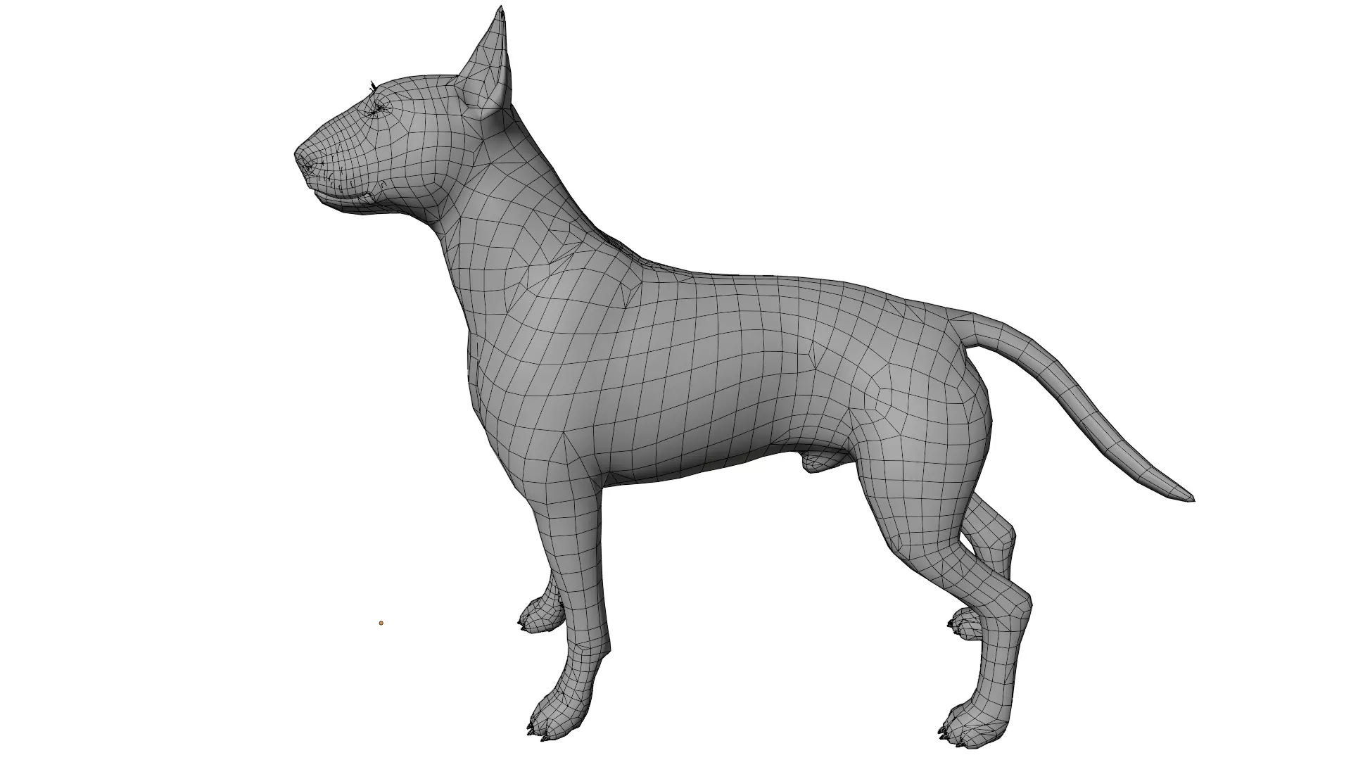 Bull Terrier 3D model_10